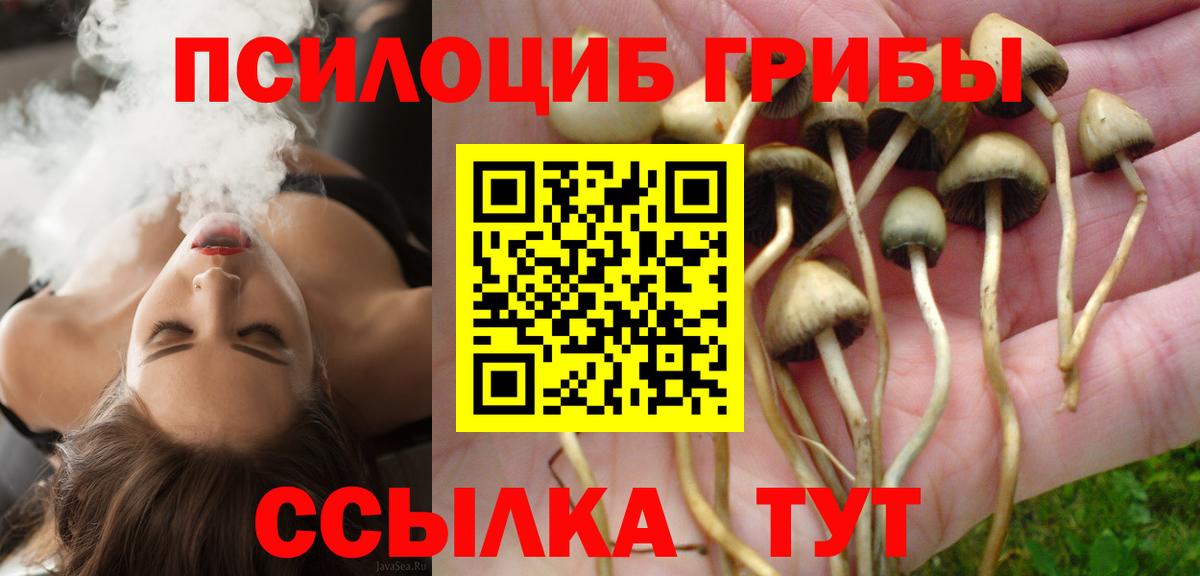 Можайск  Галлюциногенные грибы Magic Shrooms  Вход с VPN  Псилоцибиновые грибы GOLDEN TEACHER 